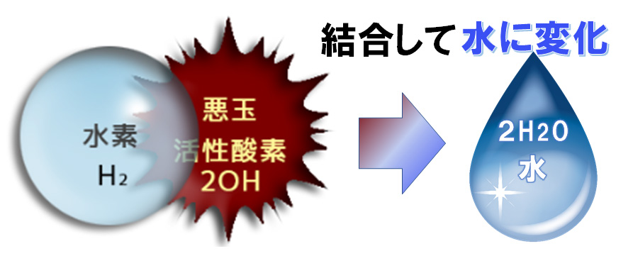 水素が活性酸素を除去