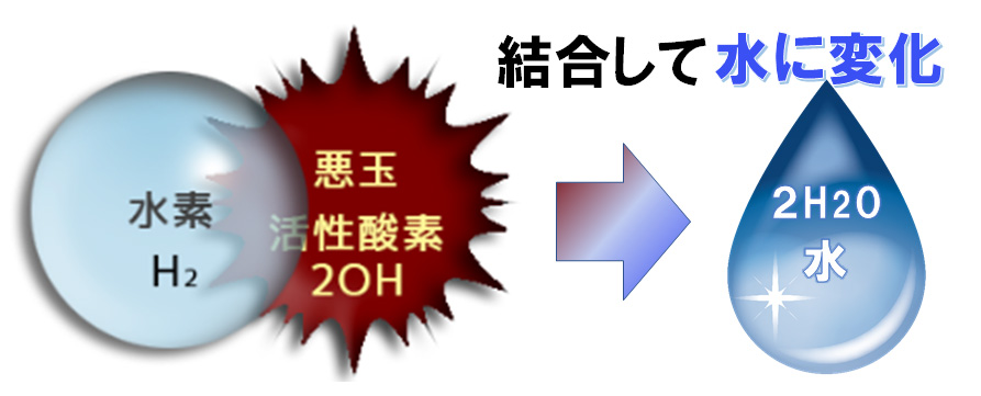 水素が活性酸素を除去