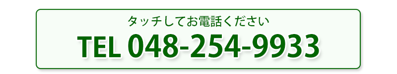  川口カイロプラクティック整体院 TEL